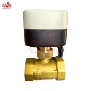 Van Bi Điện Đóng Mở Nước BVE-2W