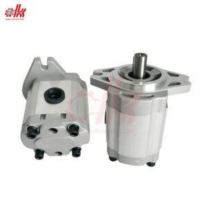 Bơm Nhông Lưu Lượng Lớn SAINTFON CBT CBK CBN