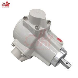 Motor Khí Nén 5 Sao